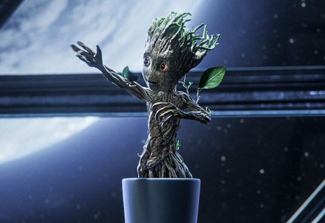 I Am Groot