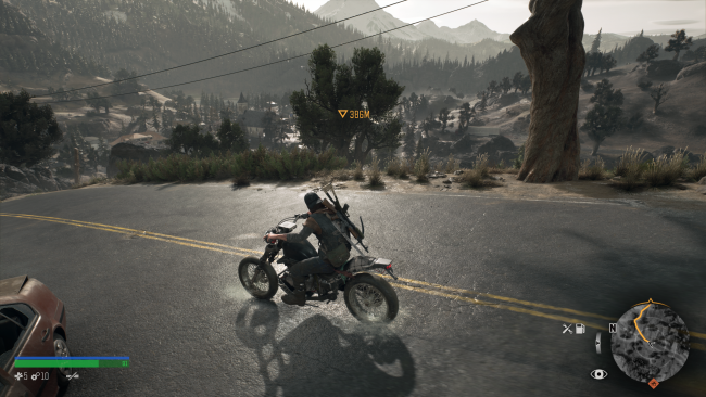 Days Gone