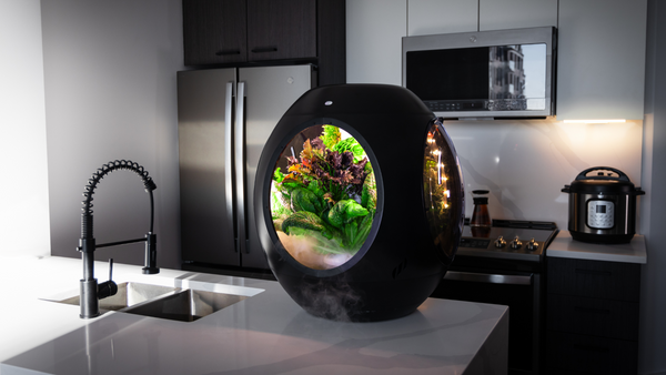 De Smart Indoor Garden van Plantaform gebruikt mist om planten te laten groeien