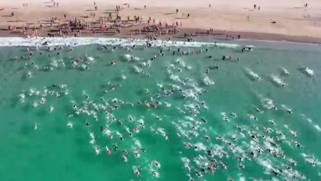 Een week na een bijna dodelijke haaienaanval in Sydney verzamelen duizenden zich om op hetzelfde strand te zwemmen als emotioneel eerbetoon