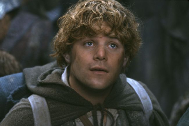 Lord of the Rings: The Fellowship of the Ring