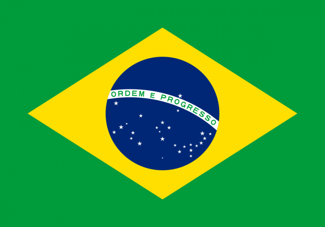 Vorig jaar daalde de ontbossing in Brazilië tot het laagste niveau sinds 2019