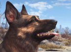 Gerucht: Binnenkort zul je in staat zijn om huisdieren te krijgen in Fallout 76 
