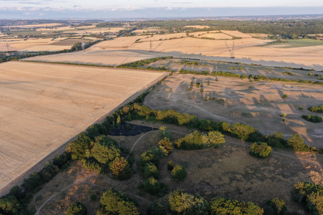 National Farmers Union waarschuwt dat langdurige droogte in het VK zal leiden tot een tekort aan sommige voedingsmiddelen