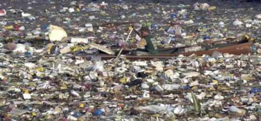 De Great Pacific Garbage Patch is een drijvend ecosysteem geworden