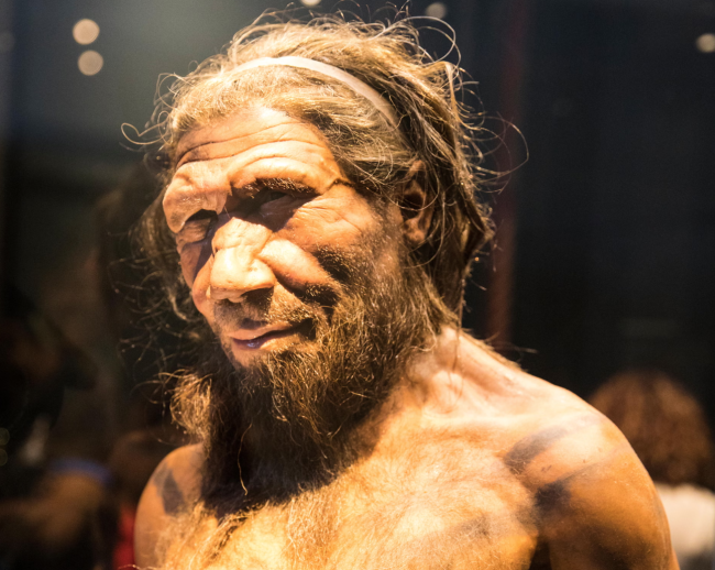 Onderzoek suggereert dat mannelijke Neanderthalers vaker paren met menselijke vrouwtjes