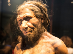 Onderzoek suggereert dat mannelijke Neanderthalers vaker paren met menselijke vrouwtjes