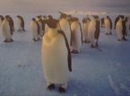 Er kan worden gesolliciteerd naar een functie bij het pinguïnpostkantoor op Antarctica