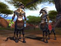 Related Image