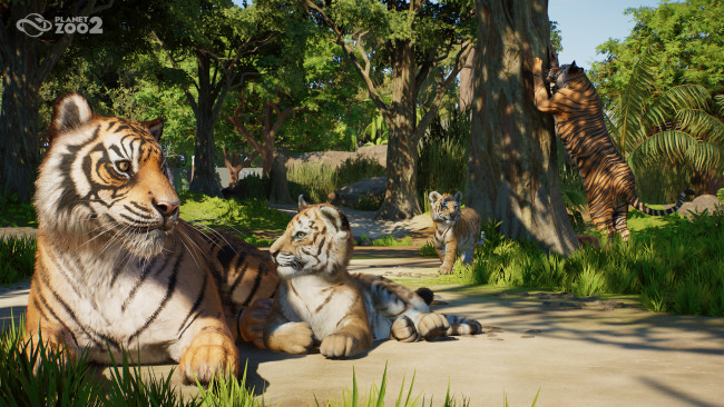 Planet Zoo 2 Preview: Een ambitieus vervolg dat de Planet-formule naar een hoger niveau tiltilt