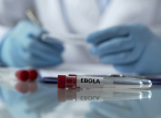 De ebola-epidemie kan een jaar duren, voorspelt het Rode Kruis