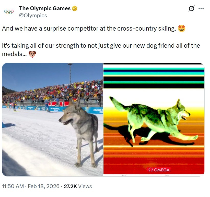 De lokale brave jongen Nazgûl crasht in een skiwedstrijd op de Olympische Spelen: hij is 
