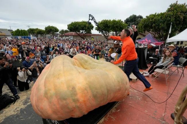 This huge pumpkin just set a world record