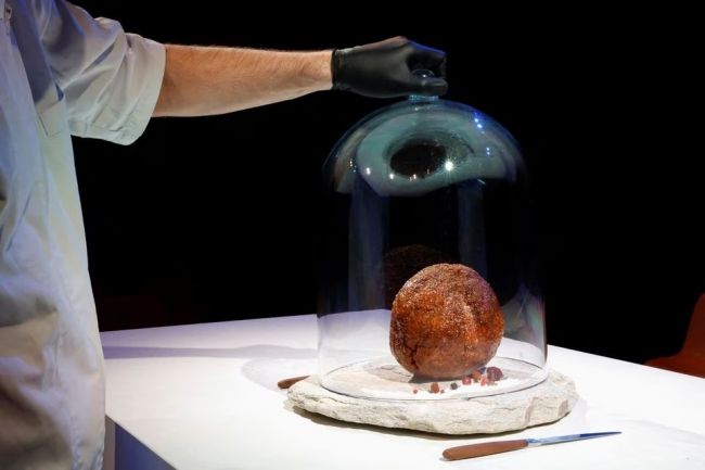 Scientists made a huge meatball with mammoth DNA