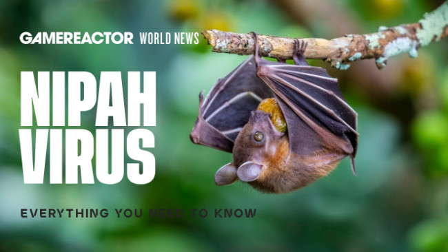 Alles wat je moet weten over het Nipah-virus nadat India twee gevallen bevestigt