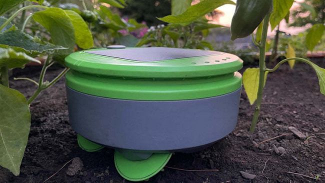 This robot weeds your garden for you