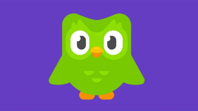 Duolingo's jaaroverzicht is hier om je te vertellen of je veilig bent voor Duo's woede