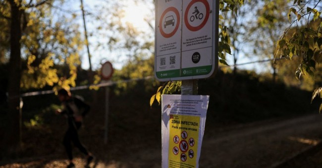 EU-veteranen ingezet om de uitbraak van varkenspest in Barcelona te bestrijden