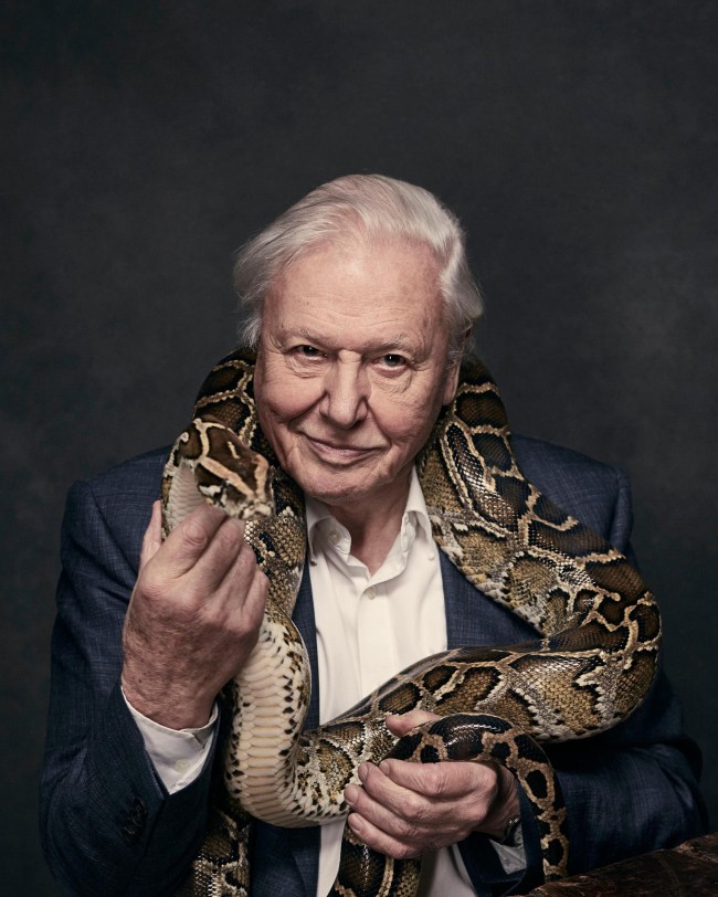 De meest gezochte actrice van Pornhub onthult haar geheime verliefdheid: David Attenborough