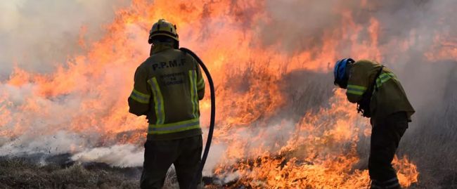 Griekse brandweerlieden bestrijden een grote bosbrand ten noordwesten van Athene