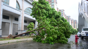 Miljoenen evacueerden in China terwijl tyfoon Bavi aan land komt