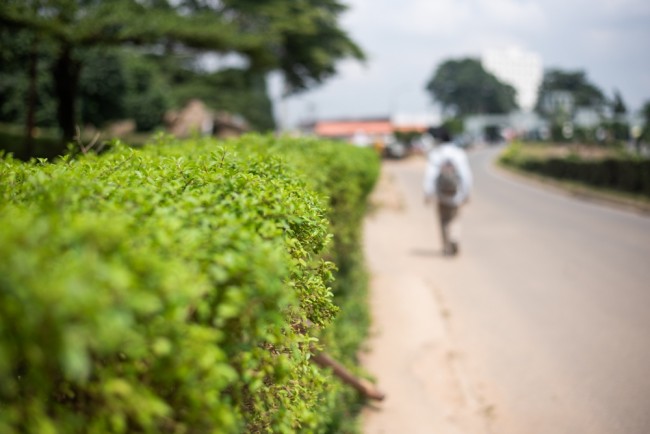 50 van de 300 katholieke scholieren die in Nigeria zijn ontvoerd, weten te ontsnappen (ongeveer 250 zijn nog steeds gevangen)