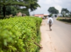 50 van de 300 katholieke scholieren die in Nigeria zijn ontvoerd, weten te ontsnappen (ongeveer 250 zijn nog steeds gevangen)