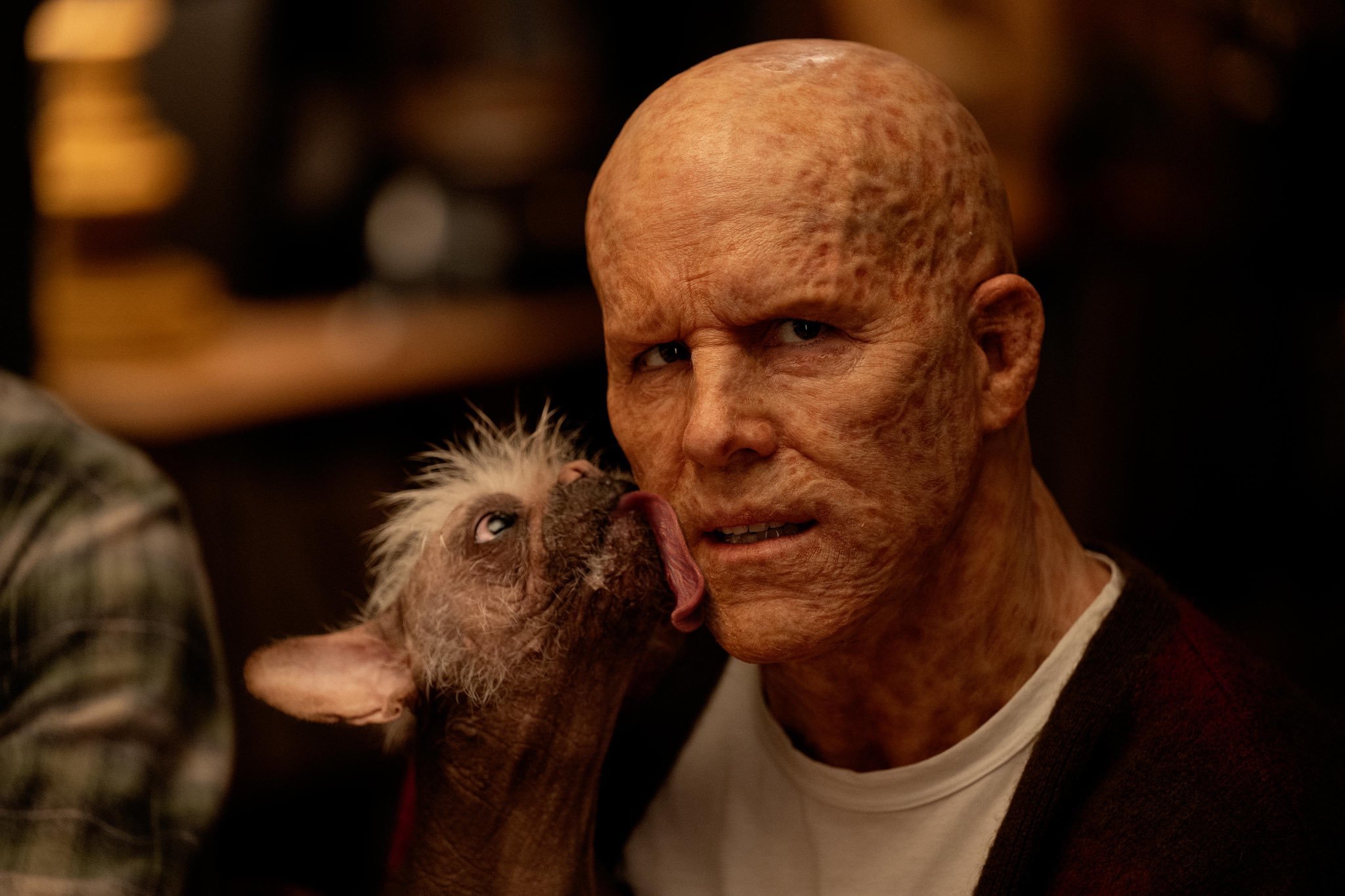 Ryan Reynolds geeft ons wat kennis achter de echte Dogpool Deadpool & Wolverine Gamereactor