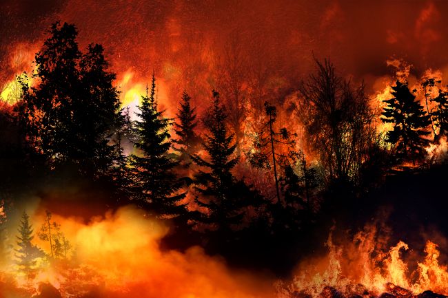 Europa bereidt zich deze zomer voor op een nog zwaarder bosbrandseizoen