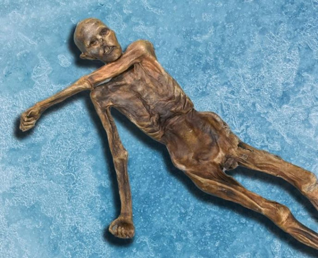 Onderzoekers veranderen 5.000 jaar oude mummie in zuurdesembrood