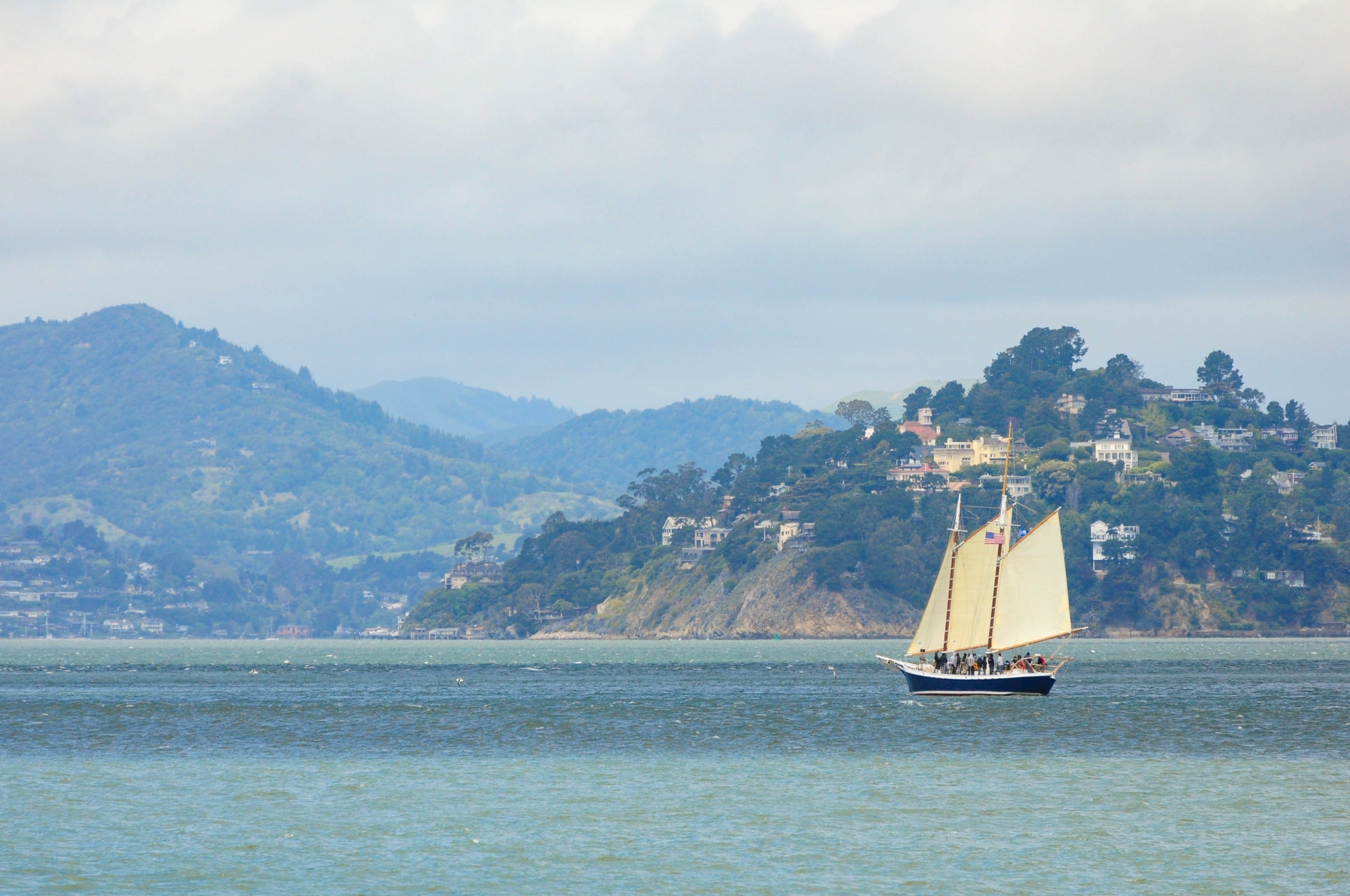 Eén bevestigd dode en meerdere anderen vermist na een kapseisde boot in de baai van San Francisco