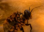 Multiplayer van Bee Simulator te zien in nieuwe Gamescom-trailer
