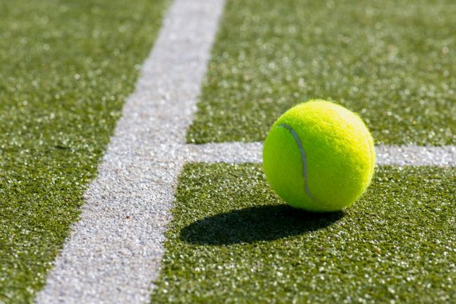 Wimbledon halve finales op donderdag en vrijdag: Zverev en Fery in ATP, Kostyuk en Noskova in WTA