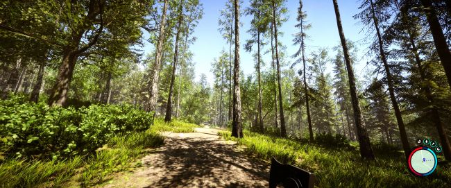 De gemeenschap van Quebec erkent bomen als levende wezens