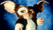 Steven Spielberg en Chris Columbus bepalen het lot van de Gremlins -franchise
