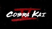 Cobra Kai Seizoen 5 - Datum Aankondiging